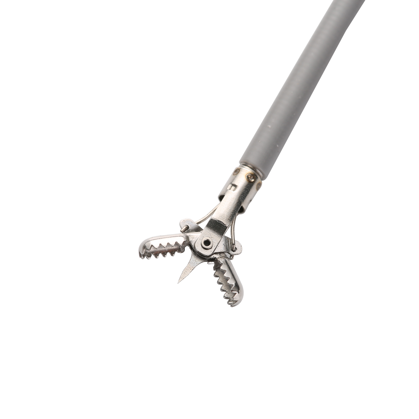 Biopsy Forceps by SMD Wynne