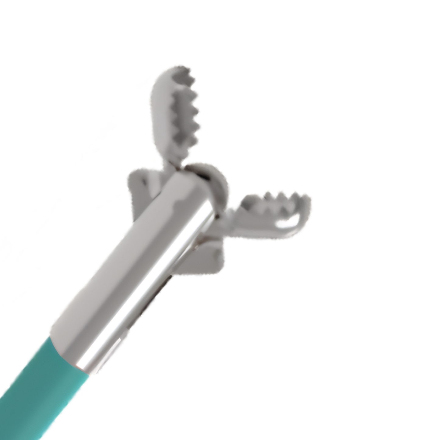 Biopsy Forceps
