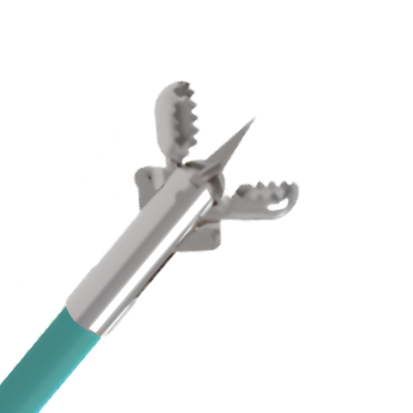 Biopsy Forceps
